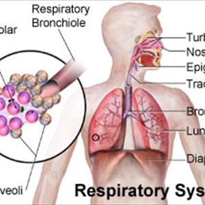 Otc For Persistent Cough - Bronchitis Infiammation