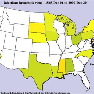 Copd From Walking Pneumonia - Bronchitis Child