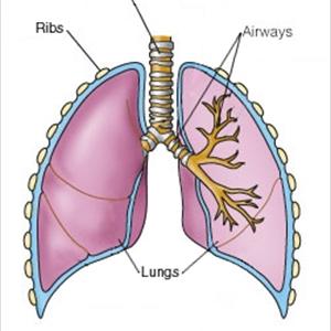 Natural Cure For Lung Infection - Ways To Be Able To Treatment Bronchitis